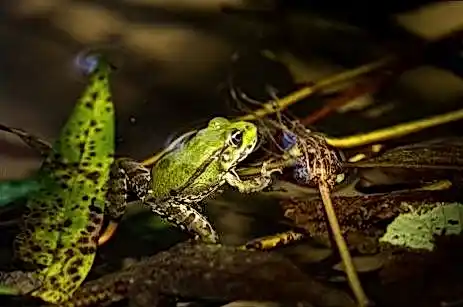 1xSlots казино a29c49